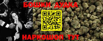 шишки Усть-Илимск