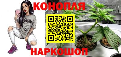 альфа пвп Усть-Джегута