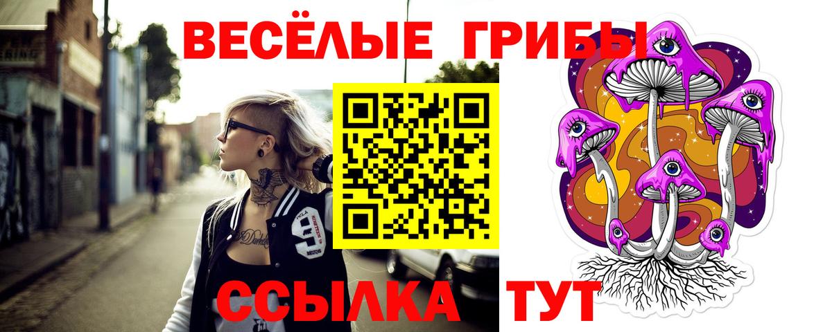 Галлюциногенные грибы Magic Shrooms  Галлюциногенные грибы GOLDEN TEACHER  Вход с VPN  Костомукша 