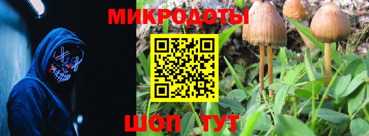 Псилоцибиновые грибы Cubensis Костомукша